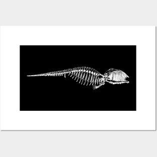 Whale Skeleton Posters and Art